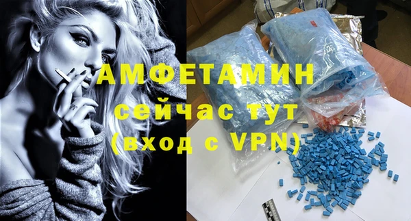 сатива Надым