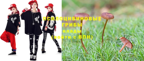 гидра Абинск