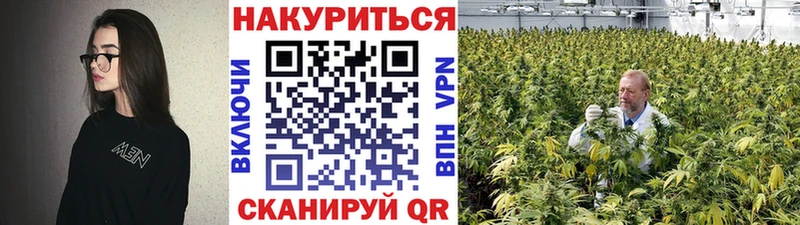 kraken ТОР  Тихвин  Каннабис сатива 